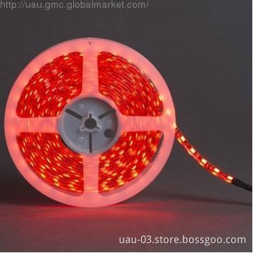 12v 5050 strip light